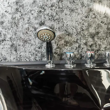 公寓 The Penthouse